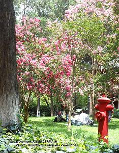 141- Alexia - Kunming